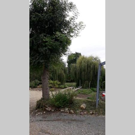 Entre Vignes Et Loire Apartment Blaison-Saint-Sulpice Ngoại thất bức ảnh