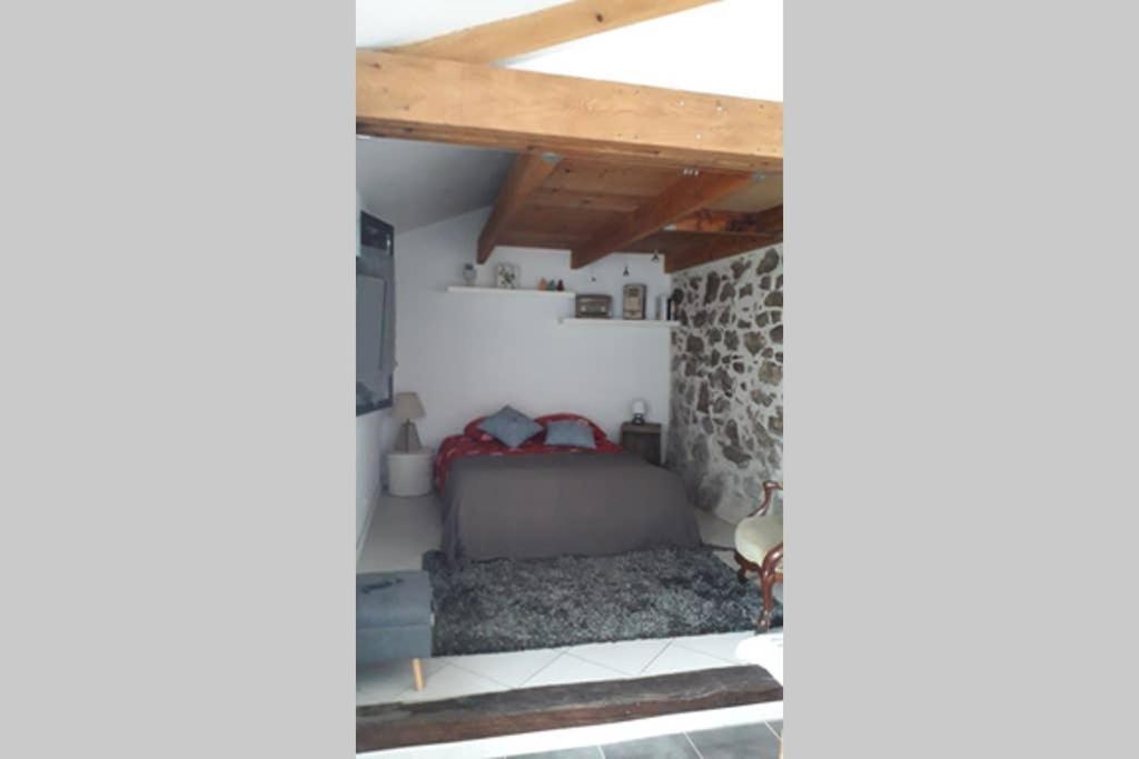 Entre Vignes Et Loire Apartment Blaison-Saint-Sulpice Ngoại thất bức ảnh