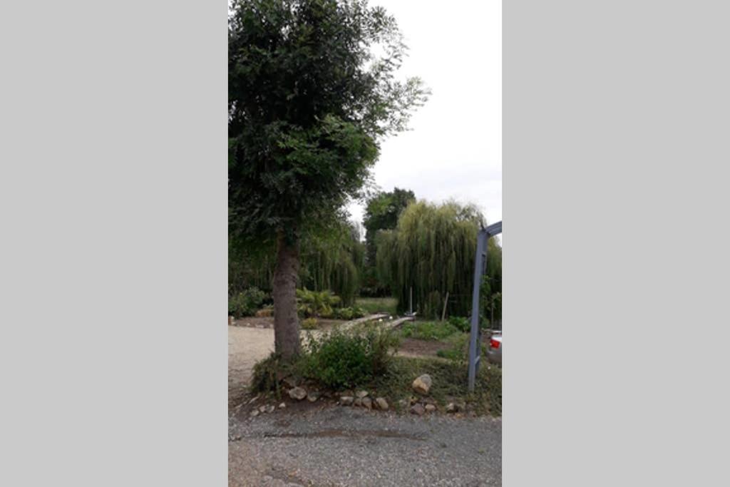 Entre Vignes Et Loire Apartment Blaison-Saint-Sulpice Ngoại thất bức ảnh